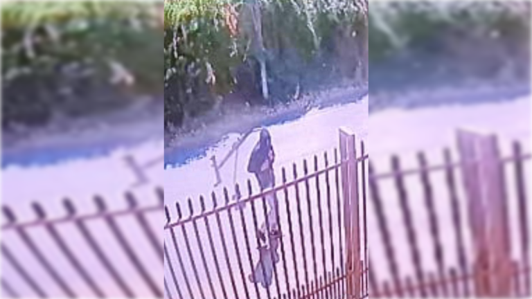 Delincuentes roban a dueños del supermercado de la leña en Romeral