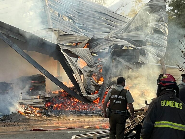 Incendio consume fábrica de pallets camino a Los Niches