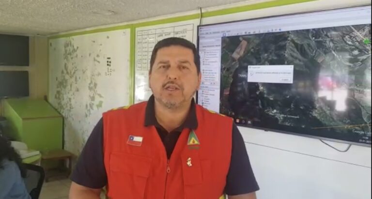 Gobierno pidió la renuncia a director regional de Conaf del Maule
