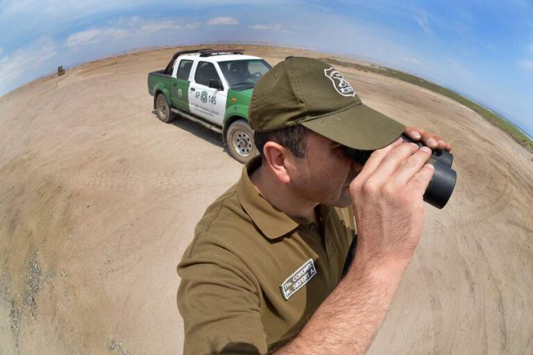 Carabinero fue atropellado intencionalmente durante fiscalización en la frontera