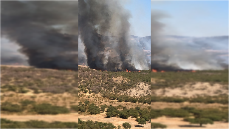 Se decreta Alerta Roja: Preocupación por incendio forestal en fundo El Prado del sector Los Cristales