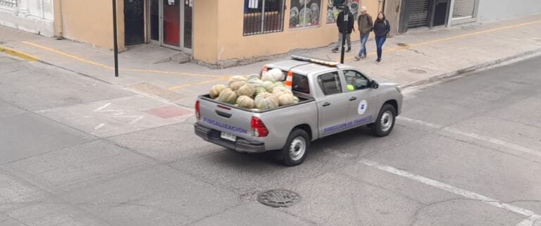 “Operación Zapallo”: alcalde Muñoz denunció posible venta ilegal de este producto en Curicó