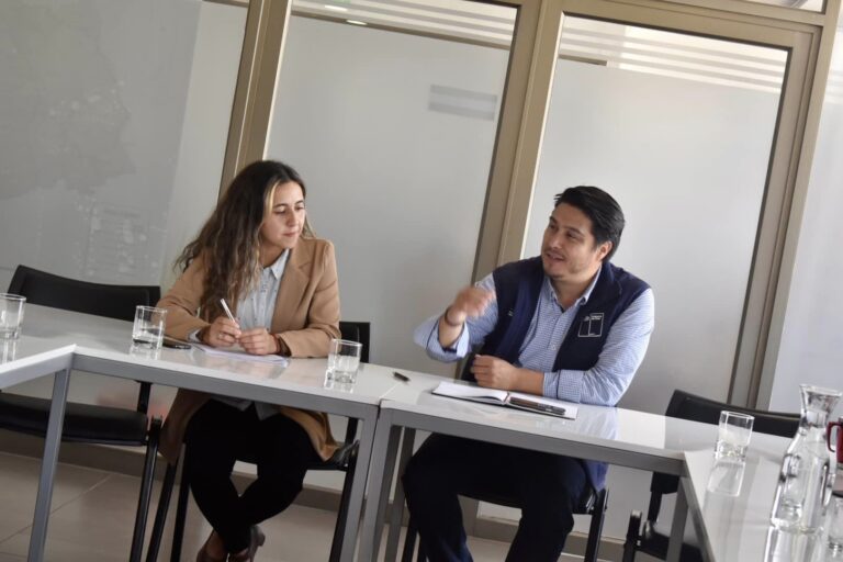 Municipio gestionará espacio para llevar caballares y bovinos que estén en la vía pública