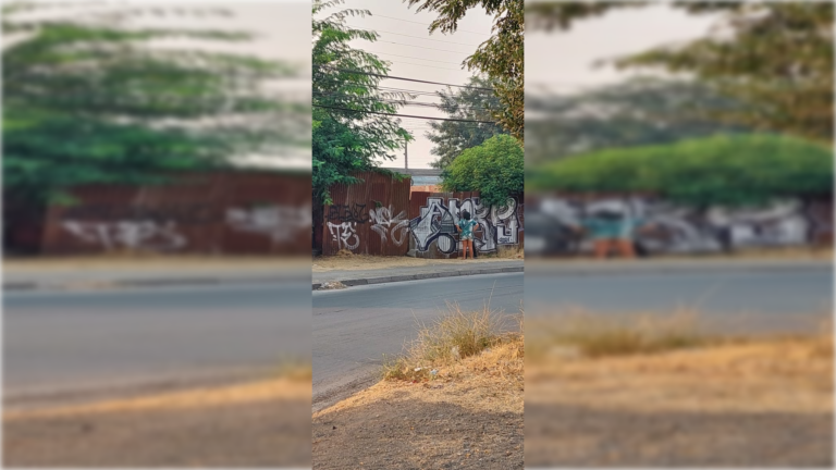 Vecinos denuncian toma de terreno en sector Maule Abajo de Curicó