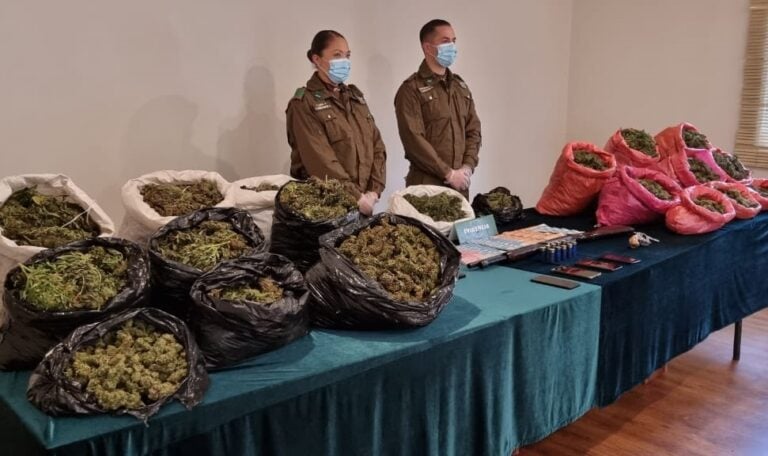 OS-7 de Carabineros de Curicó incautó 67 kilos de marihuana y detuvo a cuatro personas