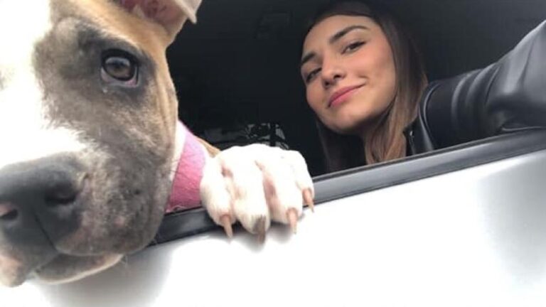 Perrita murió de pena 2 días después que su dueña: "No aguantó tanta tristeza"