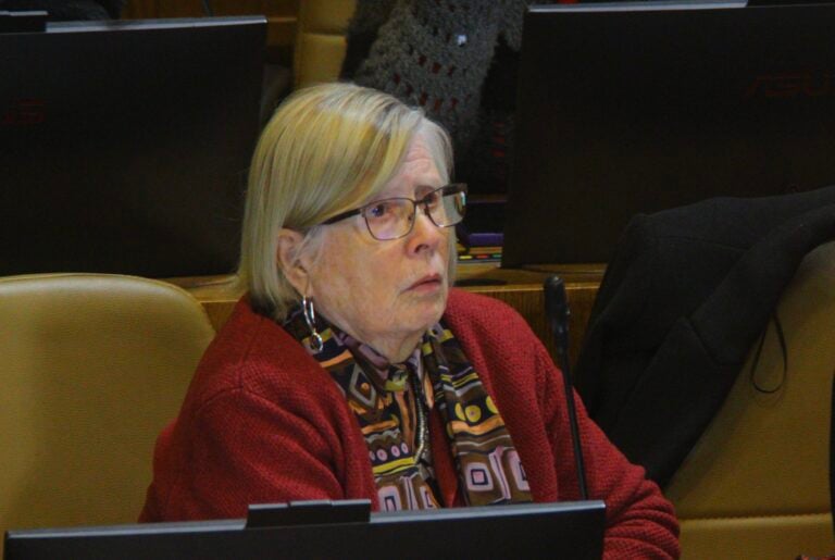 Diputada Mercedes Bulnes oficia a Obras Públicas por Bypass Talca-Chillán