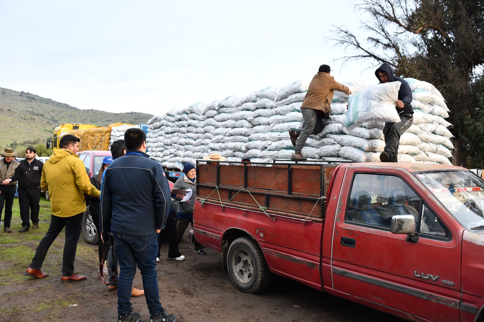 Productores de Villa Prat afectados por temporal recibieron alimentos para sus animales