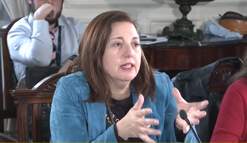 Senadora Vodanovic solicitó a Hacienda financiar defensa fluvial de 10 kilómetros en el río Mataquito