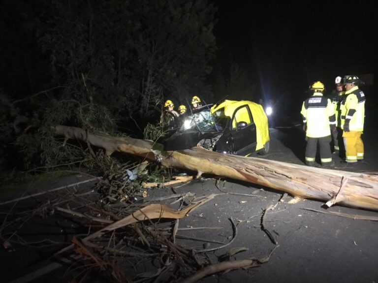 Accidente de tránsito deja dos personas fallecidas en Pelarco