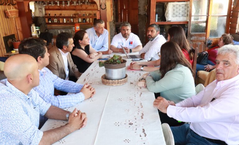 Alcalde de Rauco y seremi de Obras Públicas revisaron proyectos en sectores de la comuna