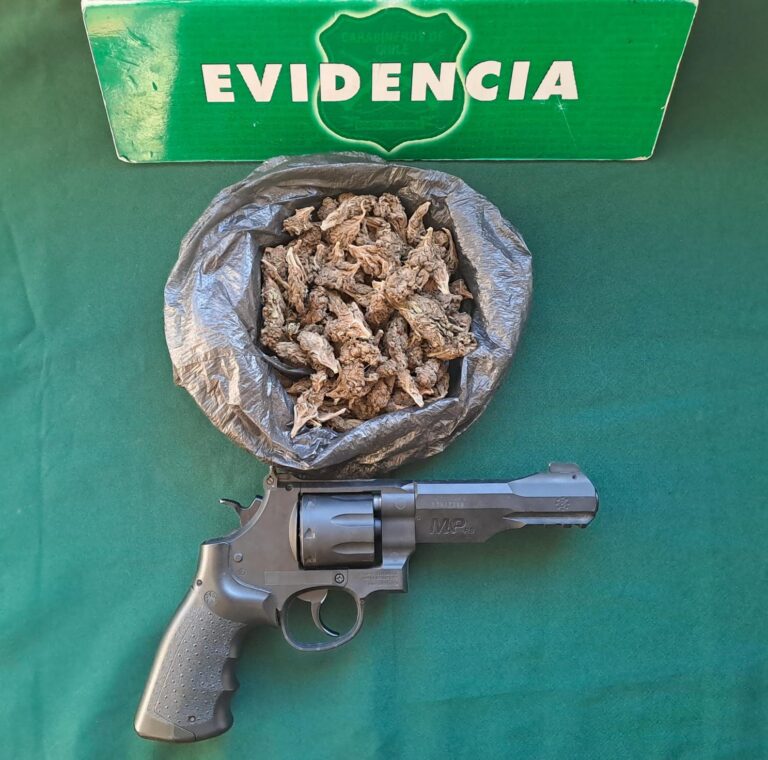 Carabineros de Molina detuvieron a tres personas por tráfico de drogas y porte de armas