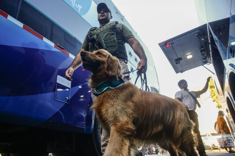 Conductor de bus con destino a la región de O'Higgins dio positivo a cocaína en fiscalización