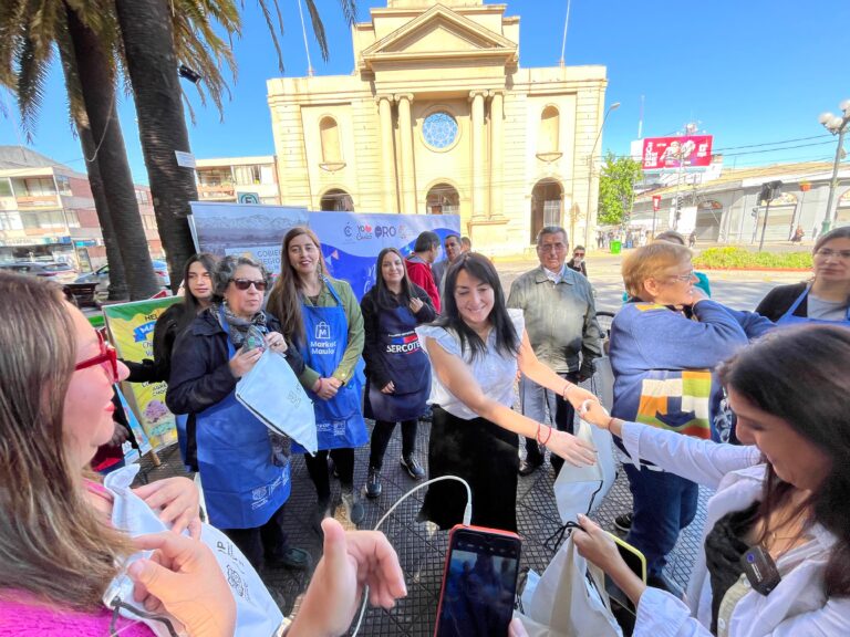 Feria Navideña de Curicó convoca a más de un centenar de emprendedores en la Plaza de Armas