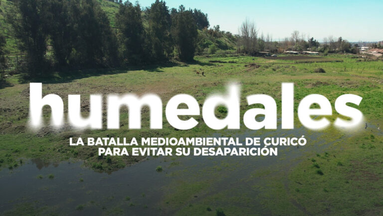 La batalla medioambiental de Curicó