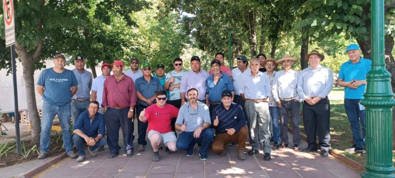 Precios a la baja amenazan a los productores trigueros del Maule