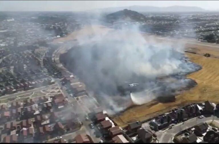 Incendio de pastizales estuvo a punto de afectar a viviendas y una estación de servicios en Curicó