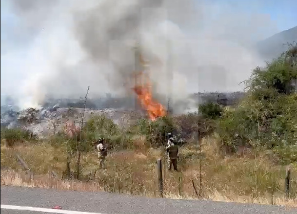 Incendios forestales: se activan emergencias en Molina y Rauco