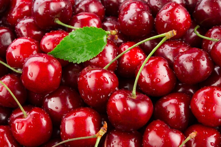 Brasil destruye más de una tonelada de cerezas chilenas por plaga