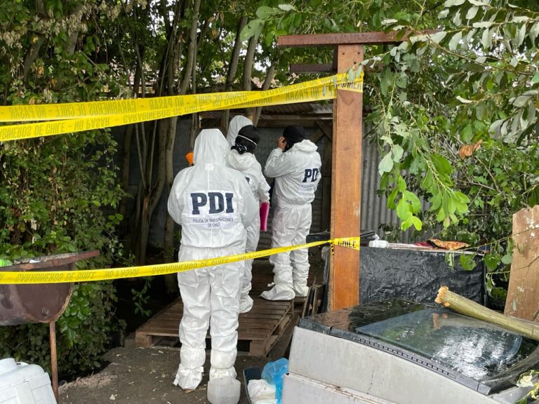 Defensoría de la Niñez intervendrá por vulneración de menores que vivían en refugio donde se maltrataban animales en Curicó