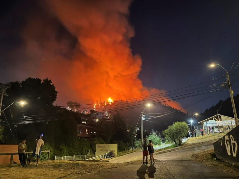 Gran incendio forestal afecta cerro Los Molinos en Constitución