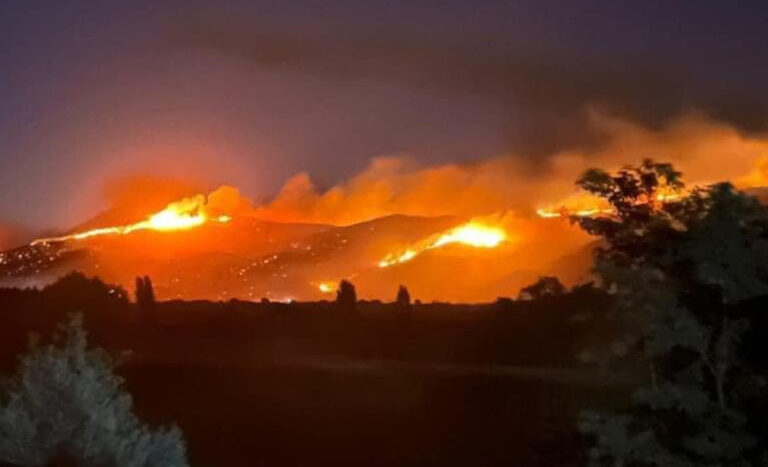 Senapred declara alerta roja para la comuna de Hualañé por incendios forestales
