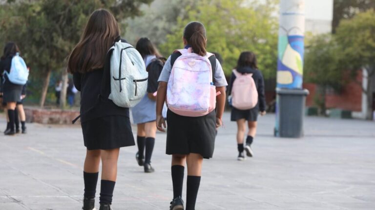 Crisis de la Educación Chilena