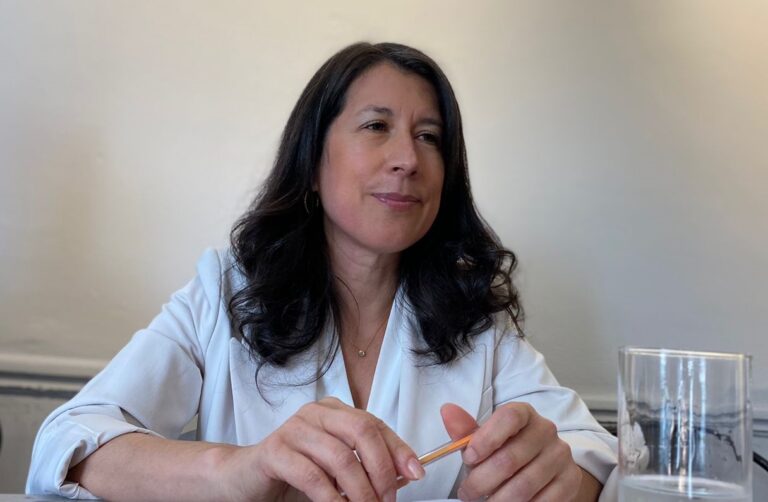 Pamela Henríquez anunció su candidatura a la alcaldía de Curicó