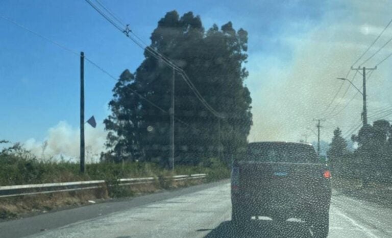 Decretan alarma por incendio forestal en sector Las Catreras de Romeral