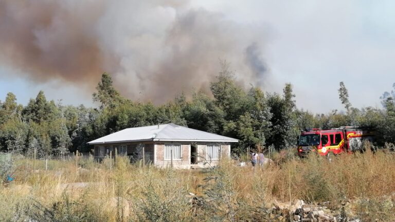 Declaran alerta roja por tercera alarma de incendio forestal en Pichingal