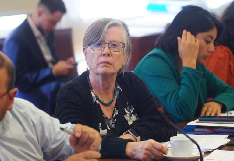 Diputada Bulnes rechazó dichos de Gobernador Mundaca sobre restablecer la pena de muerte