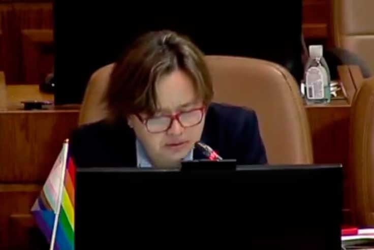 Diputada Riquelme se desmaya durante sesión en la Cámara