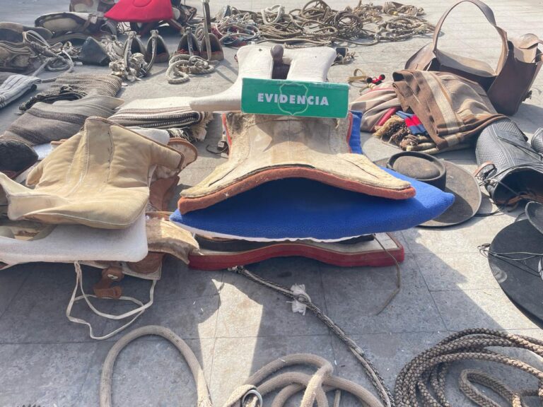 Carabineros de Curicó recupera aperos de huaso robados y avaluados en más de $15 millones