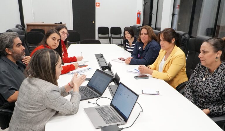UCM iniciará en Molina investigación sobre violencia contra la mujer en el Maule