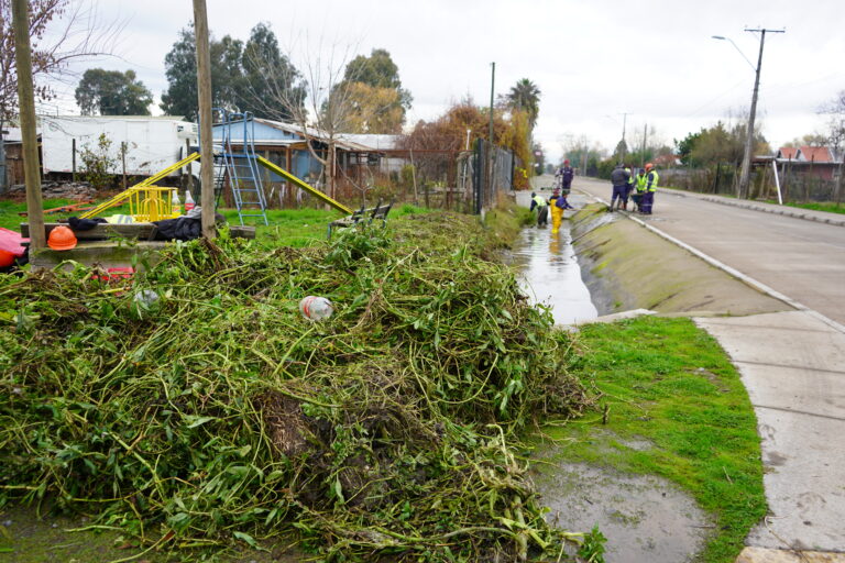 Municipio de Curicó refuerza limpieza preventiva de canales ante sistema frontal