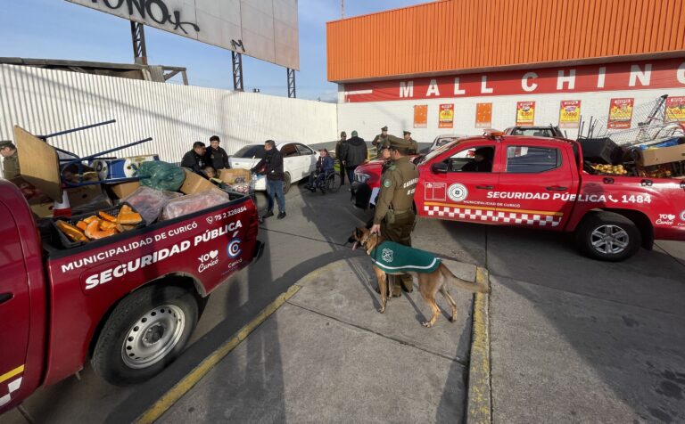 Municipio de Curicó y Carabineros realizaron operativo de fiscalización al comercio ambulante ilegal