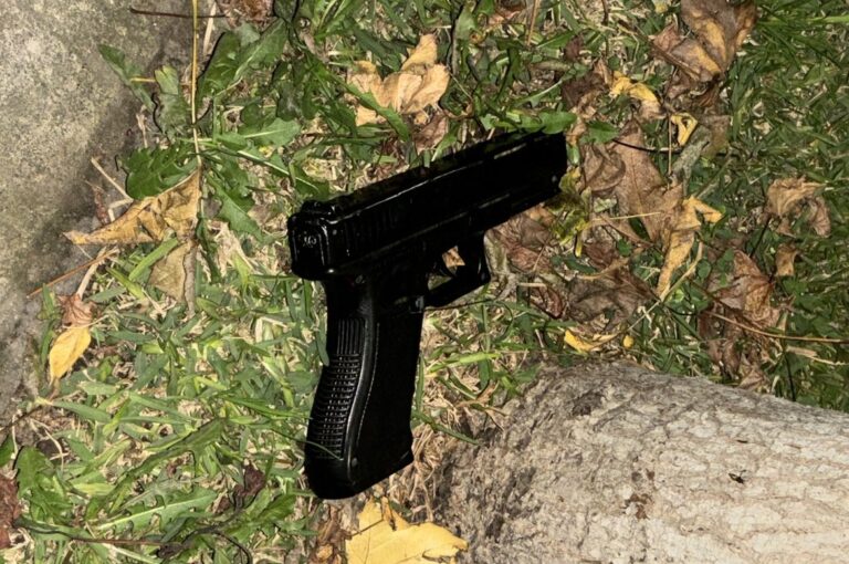 Concejala de Curicó encontró arma abandonada en la vía pública
