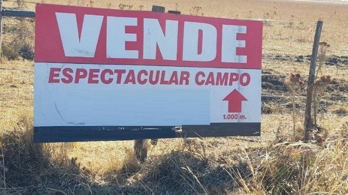 Advierten sobre estafa con venta de parcela a muy bajo precio en Molina