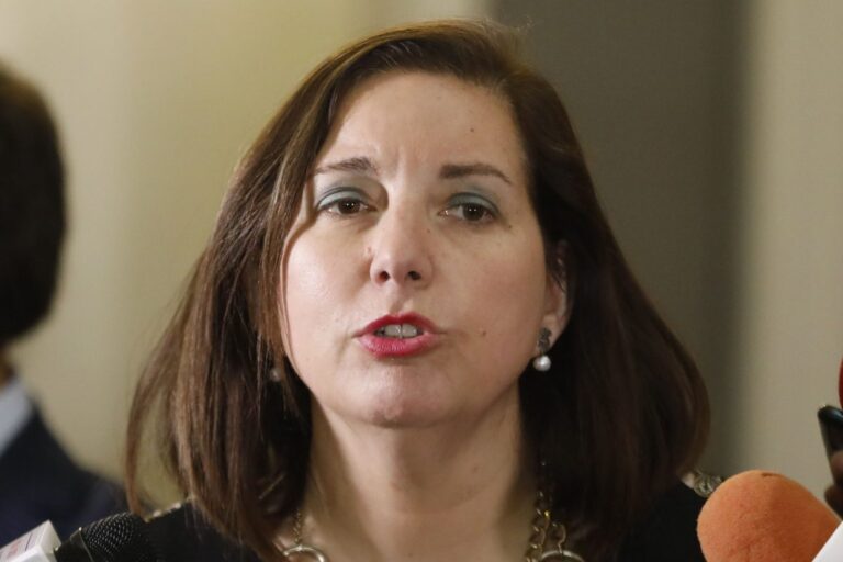 Senadora Vodanovic solicitó auditoria y medidas tras masivos cortes eléctricos en el Maule
