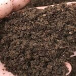 Seremi de Agricultura instruye al SAG a fiscalizar acopios de guano ante persistentes malos olores en Curicó