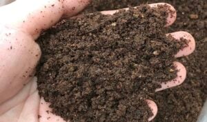 SNA llama a mitigar impactos por malos olores en la provincia de Curicó y propone el uso de guano descompuesto