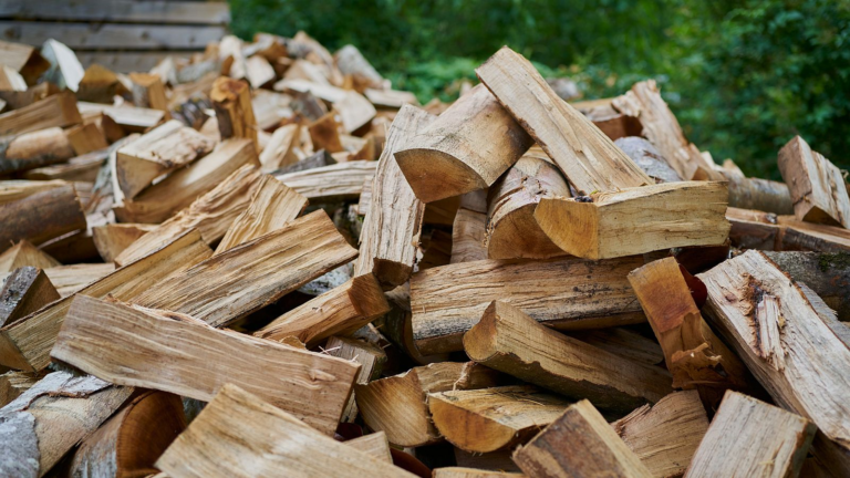 ¿Dónde comprar leña seca y pellets en Curicó y Talca?