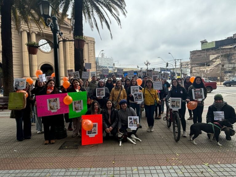 Más 100 personas marcharon para pedir justicia por maltrato animal en Curicó
