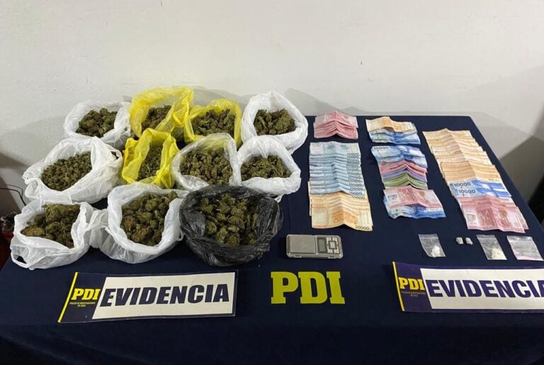 Curicó: PDI desbarata punto de venta de drogas y detiene a dos personas