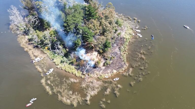 Incendio forestal afecta a Isla Cerrillo en Lago Vichuquén