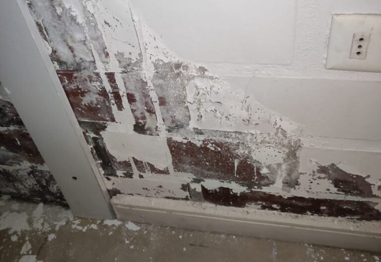 Vecinos de los Jardines de Quilvo amenazan con denunciar a inmobiliaria por mala calidad de sus casas