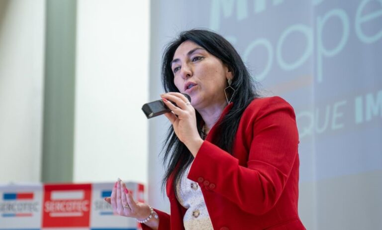 Delegado Presidencial confirma renuncia de Cristina Bravo al IPS