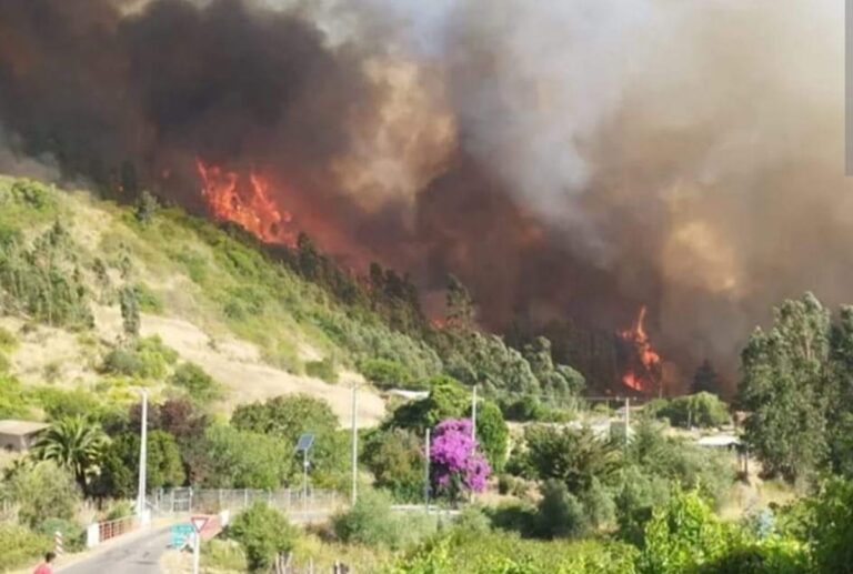 Alerta Roja en Navidad por incendio forestal que amenaza sectores poblados