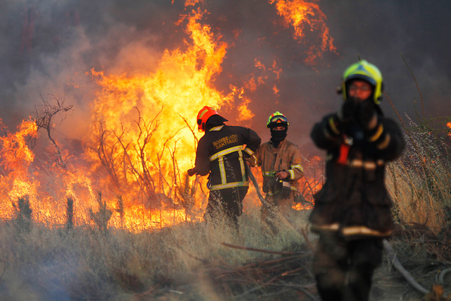 Incendio forestal "Caone 2" controlado en Hualañé
