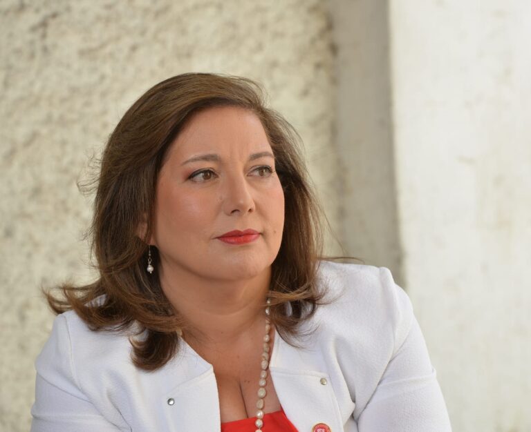 Senadora Vodanovic confirmó Decreto de Emergencia Energético para garantizar suministro eléctrico en el Maule
